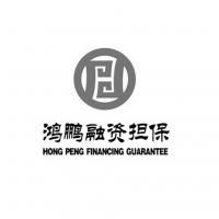 河池市鸿鹏融资性担保有限责任公司 助力企业与经济发展的融资桥梁