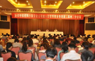 郑州融资性担保机构助力小微企业融资 政策支持与市场前景分析