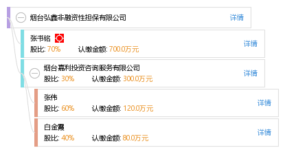 区分非融资性与融资性担保 以烟台弘鑫为例解读担保行业分类