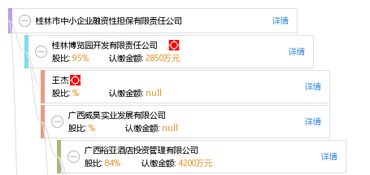桂林市中小企业融资性担保有限责任公司 破解企业融资难题的专业桥梁